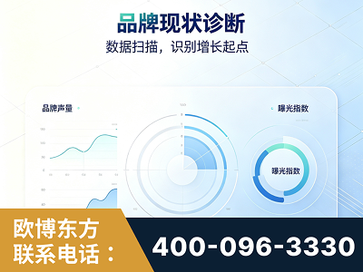 西昌-品牌现状诊断